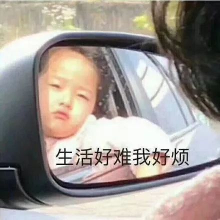 暑假好去处数千组魔都家庭挤爆了也要来这个汽车王国打卡