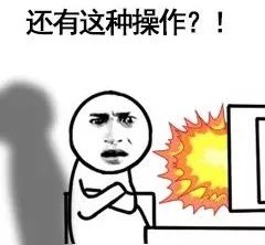 写这些的人,简直是蒂花之秀造化钟神秀