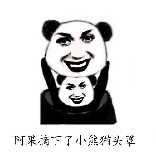平凉斗图表情包小熊猫