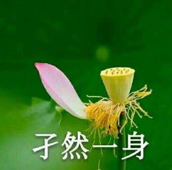 有哪些适合给长辈发的表情包