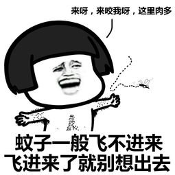 蚊子就喜欢你这种人,就是你