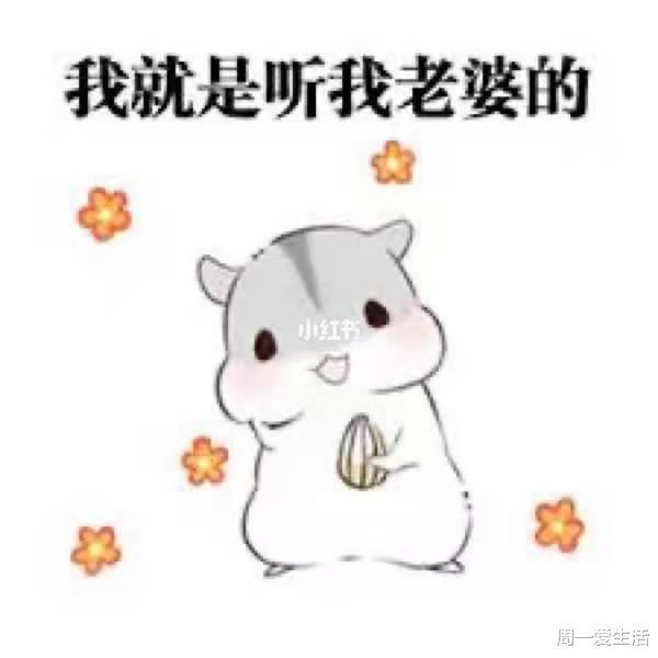 装修后才明白的25个真相装修完的千万别看,我怕你受不了卫生间吊顶客厅防盗门层高网易订阅