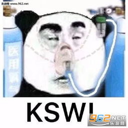 我太难了上辈子我一定是道数学题图片kswl是什么意思表情包下载乐游网游戏下载