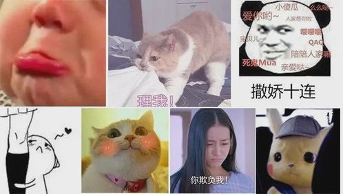和女生微信聊天,发哪种表情包能吸引她