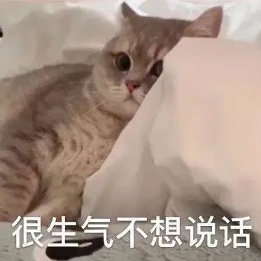 女生喜欢用的可爱表情包