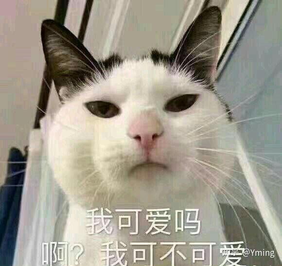 你喜欢用手机拍照吗,哪张是你目前为止自认为拍的最精彩的作品