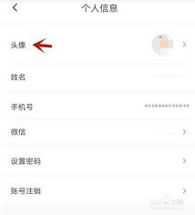 鹅盒更换头像的步骤与方法
