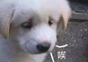 叹气表情包沙雕网友