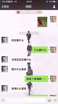 telegram表情包导入微信倪大红