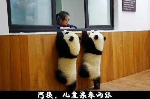 发6个笑话,给群里的朋友们乐一乐