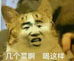 哈哈大笑表情包动图每日一笑