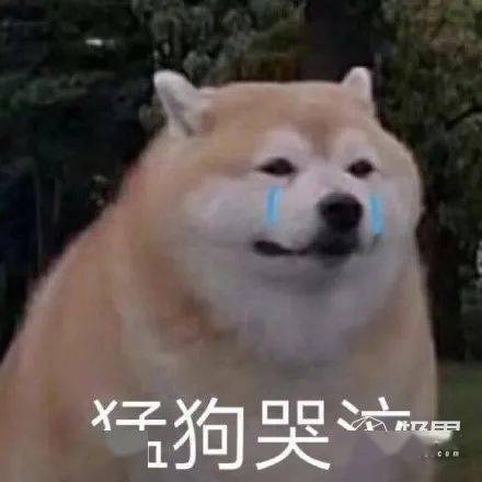北京全球最大游乐园放票啦斥资514亿娱乐细节首次披露