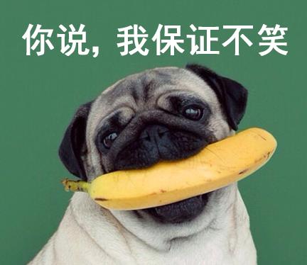 今天的表情包只有两个字你说我这边倾述欲瞬间就没了啊