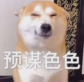 不可以色色表情包