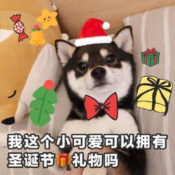 圣诞节土味情话,了解一下