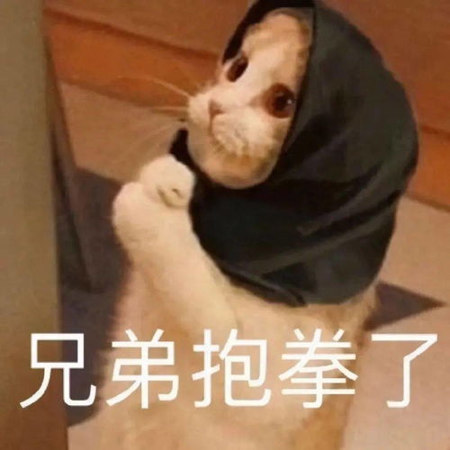 你喜欢的表情包都在这