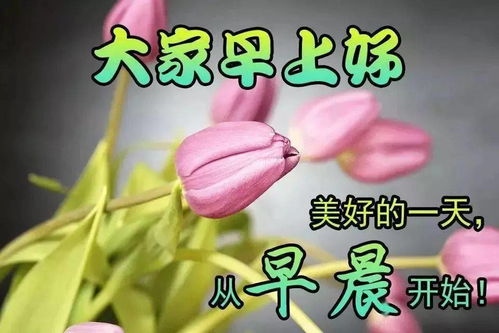 12月2日群发清晨早安问候语动态图片表情,周三超美的早上好问候语及暖心话