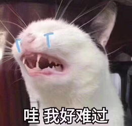 e句话看天下扮演花栗鼠的工作人员被游客拍伤,以后去迪士尼还是验个智商吧