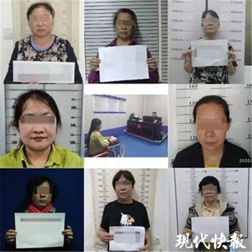 打着政府补贴旗号一群大妈诈骗100多万