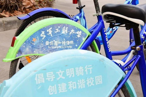 久等,校园单车3.0时代来了