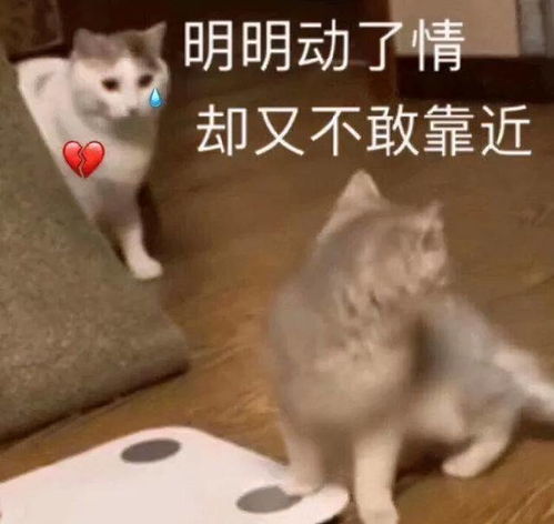 自从孩子上了幼儿园,我们家再也没有秘密了怎么什么都往外说哈哈哈哈哈哈