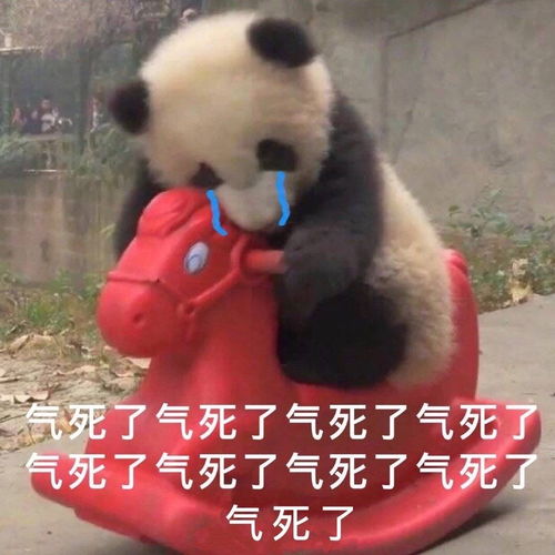 肖战是不是被黑了