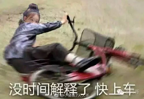 一些我觉得很好用的表情包分享
