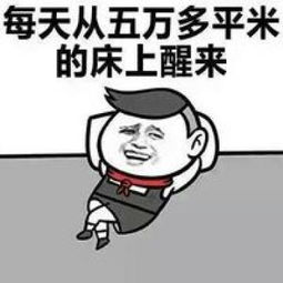 有钱人最新微信搞笑聊天表情包有钱人的生活是什么样子的