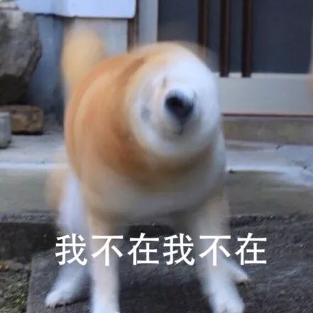 今天手贱给老板打了个电话.....