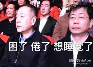 春晚表情包来啦新的一年聊天就用这些了