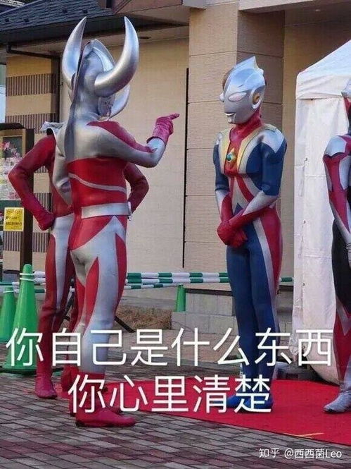 2019年出现了哪些好看的美剧或者电影