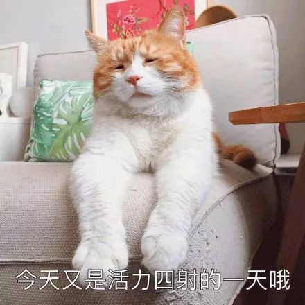 娜扎胖了之后竟撞脸陈乔恩纸片人女明星是商量好了一起增肥吗