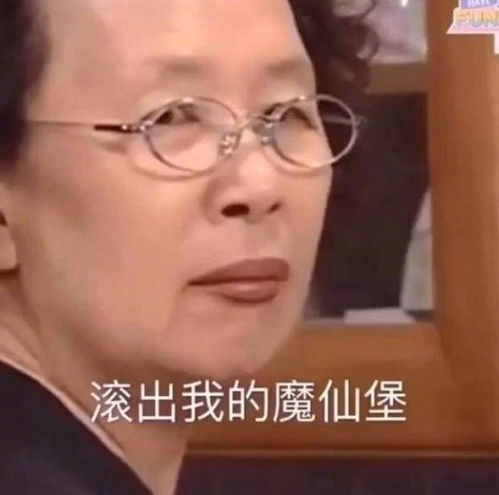 文姬女士表情包,哈哈哈哈,真是个快乐源泉