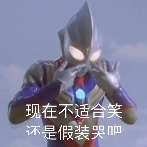 表情包你们玩吧,我没钱了