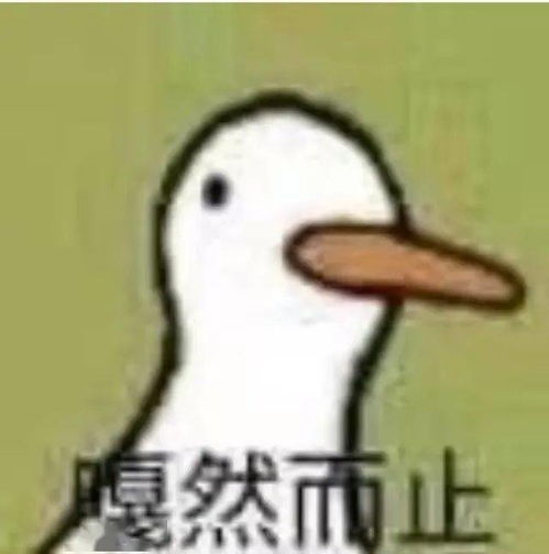 点击解锁南京过冬新姿势