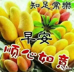 人生