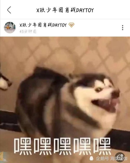 肖战本人更新自拍,三个英文单词彰显满满的动力感,表情包超搞笑