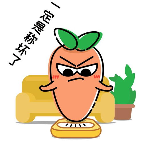 女性体重对照表,看看你在哪个档次