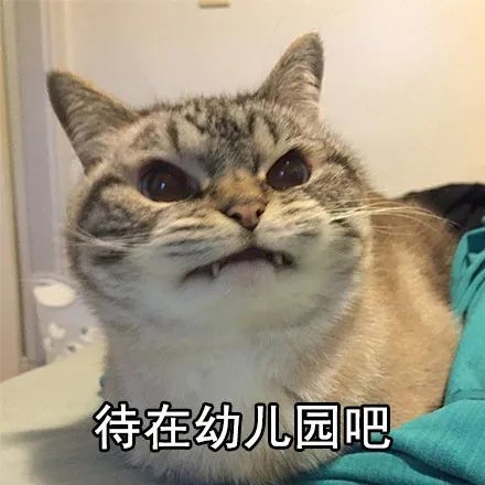 表情包好了好了,别说了