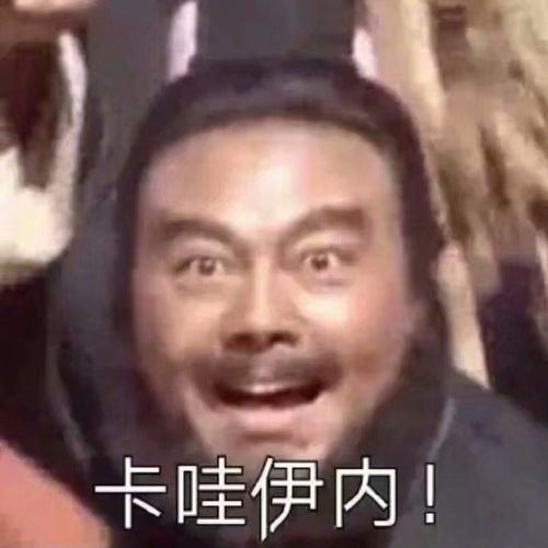 有没有什么专属于沙雕的文案