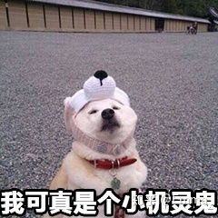 冰箱哪个牌子好冰箱怎么选2021年618冰箱推荐3月更新