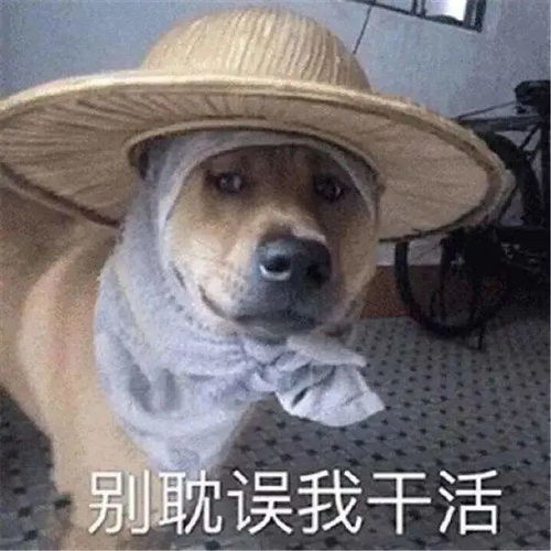 暴涨暴涨暴涨即将杀到天津