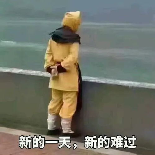 齐达内自己宣即将执教掐指一算,今天又要开始红了葡萄牙