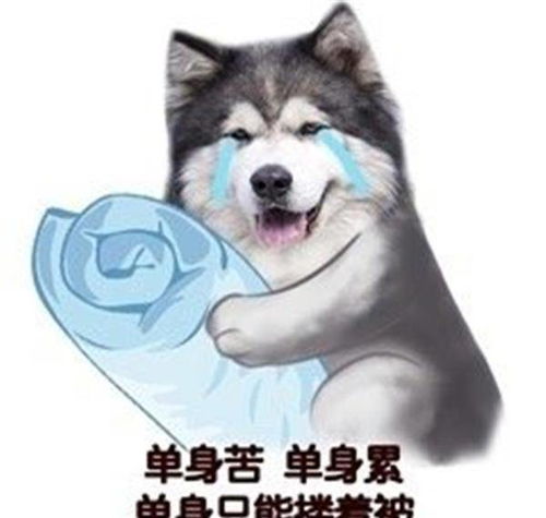 全国大学绰号汇总,说出本名有被笑到,有些黑话本校生才懂