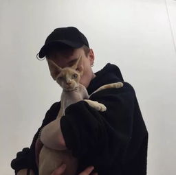 头像你没权利看不惯我的生活方式但你有权抠瞎自己的双眼
