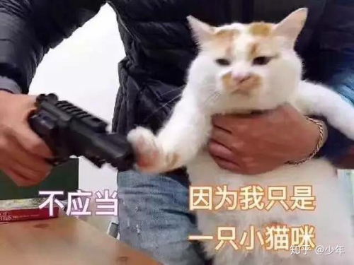 在一个深圳最差的公办高中,我能通过努力,考上清华吗