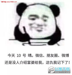 熊猫头记仇表情包下载熊猫头记仇表情图片下载飞翔下载