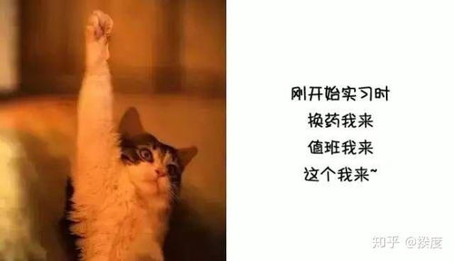 终极笔记表情包复习