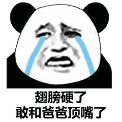 熊猫头表情包朕一日不死,你始终是太子