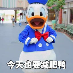 汽车头条比体重更难减的恐怕只有发动机缸数了